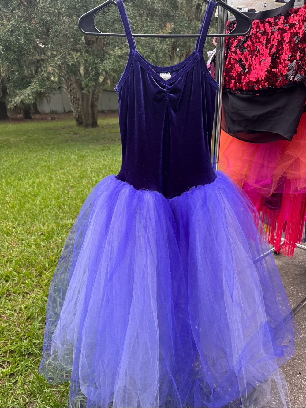 Purple Ballet Costume Dress - Velvet
